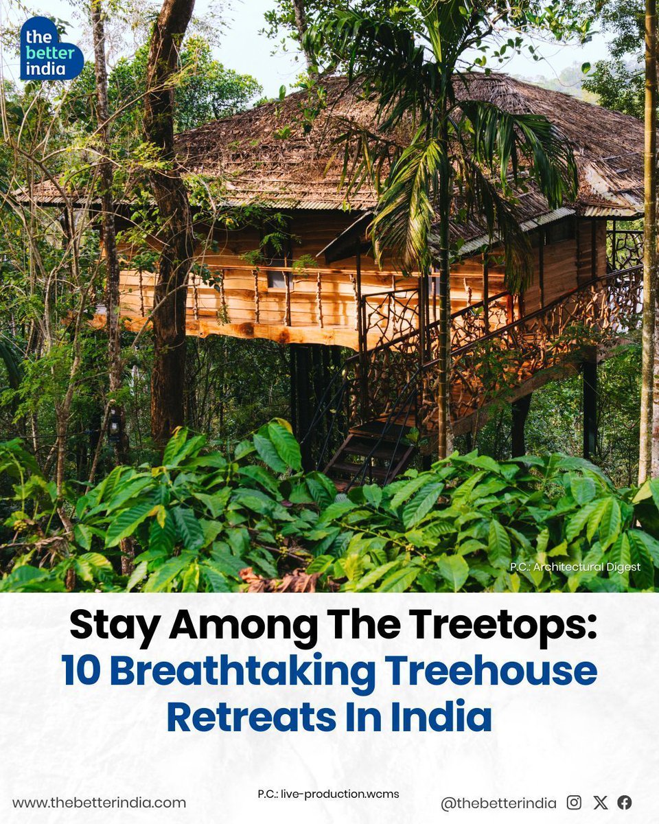thebetterindia's tweet photo. Ever dreamed of living among the treetops?
Imagine waking up to the rustle of leaves, sipping tea with birds for company, and watching the sunset from a balcony high above the forest floor.
#Treehouse #ForestRetreat #TravelIndia #NatureGetaway #TravelGoals #BucketListStay https://t.co/pxGNrILE6Q