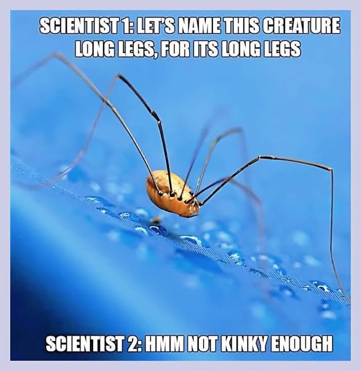 😏😏😏😏😏😏🤣🤣🤣🤣🤣😉😉