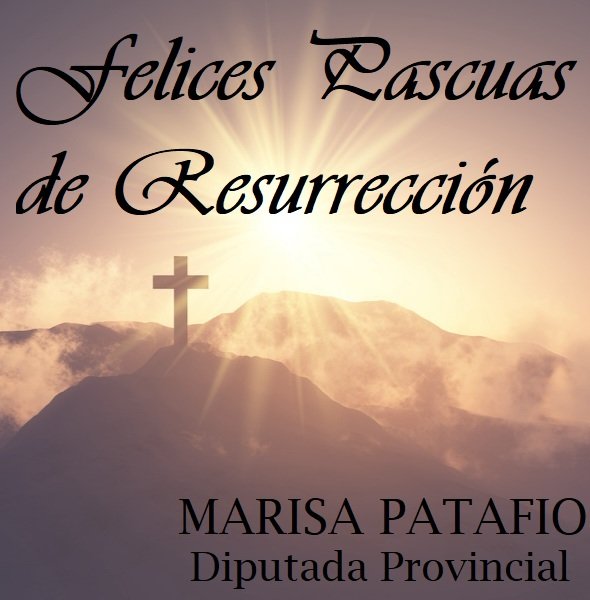 Marisa Patafio (@mpatafio65) on Twitter photo 