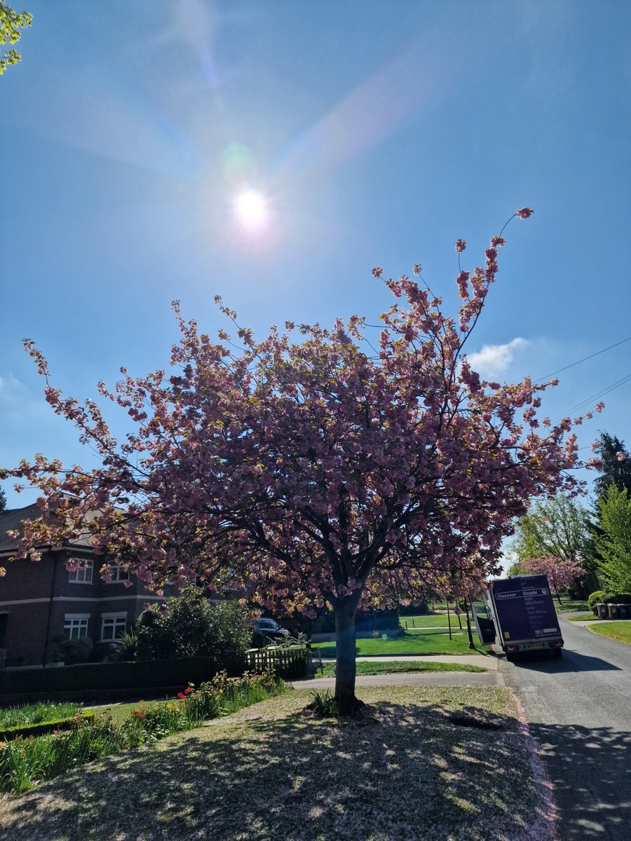 vg123e's tweet image. #Springy