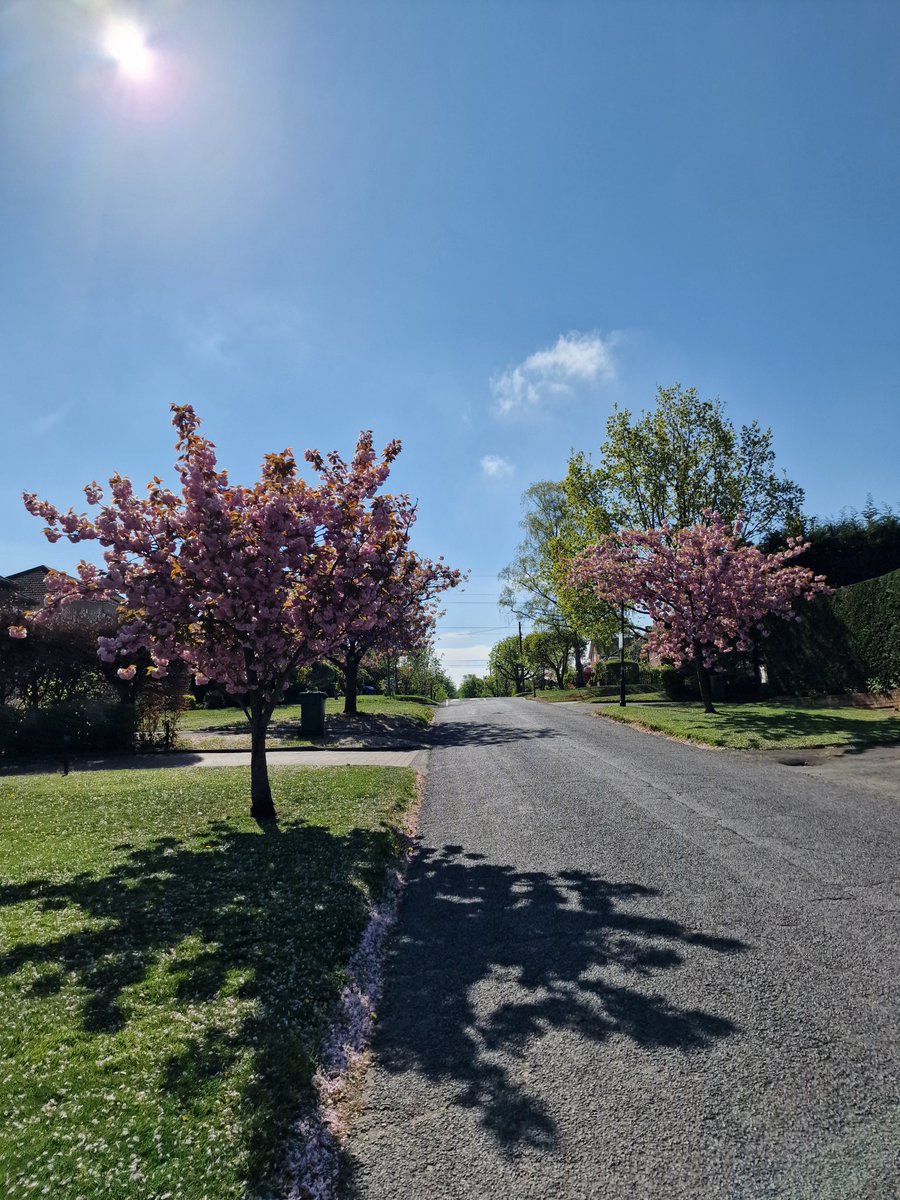 vg123e's tweet image. #Springy