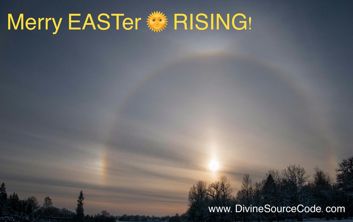 Your_SourceCode's tweet image. Merry EASTer ☀️ RISING!! 

As Spring awakens nature from its slumber in Mother Earth and *Bunny scatters the scared feminine seeds of Life…

- May all good things multiply in your life this coming year.
- May you hold gratitude in your heart even when it is not all sunshine and…