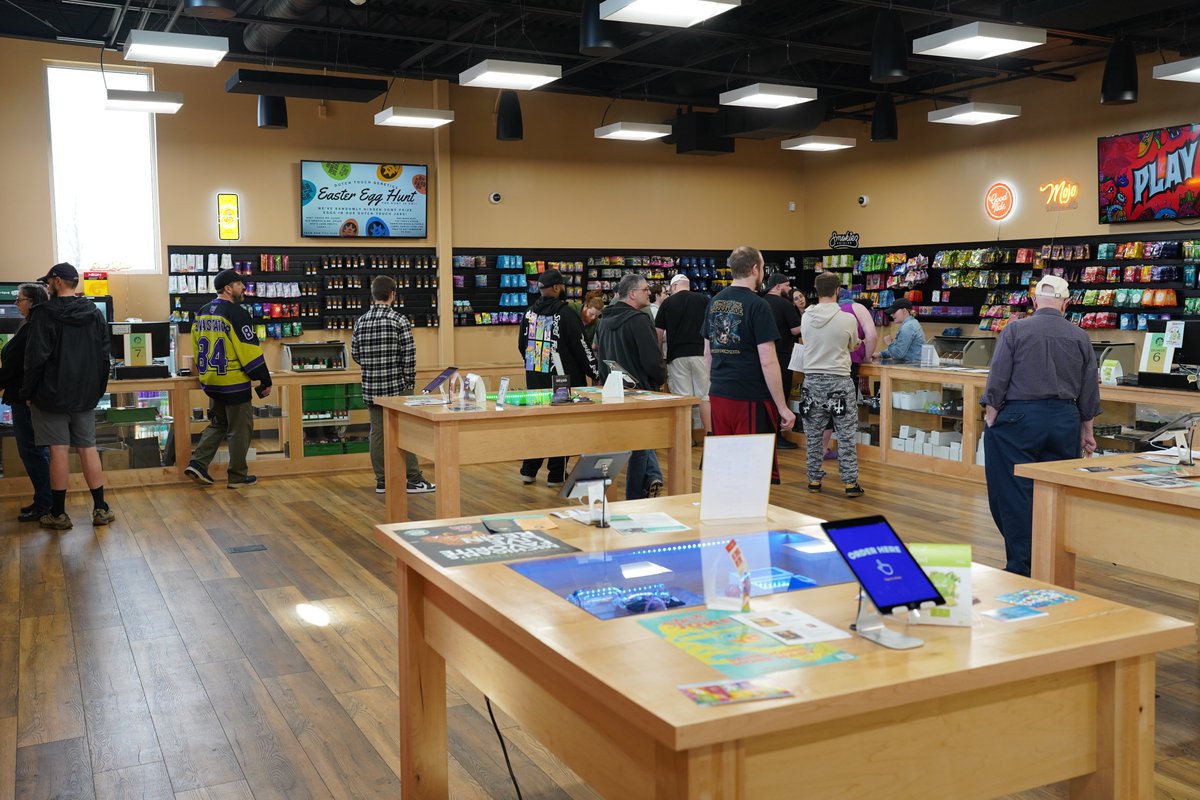 Dutch Touch Genetics tweet media