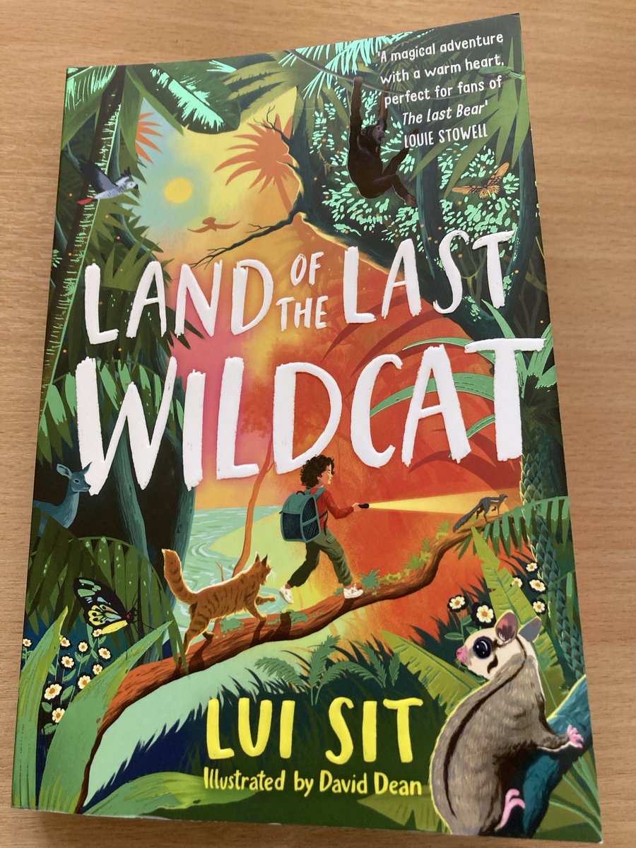 fionamsharp's tweet image. This is a great kids read! ⁦@MacmillanKidsUK⁩ ⁦@panmacmillan⁩ ⁦@PanMacNews⁩ #LuiSit #LandOfTheLastWildcat
