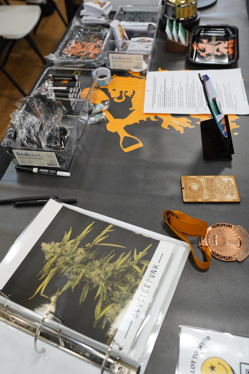 Dutch Touch Genetics tweet media