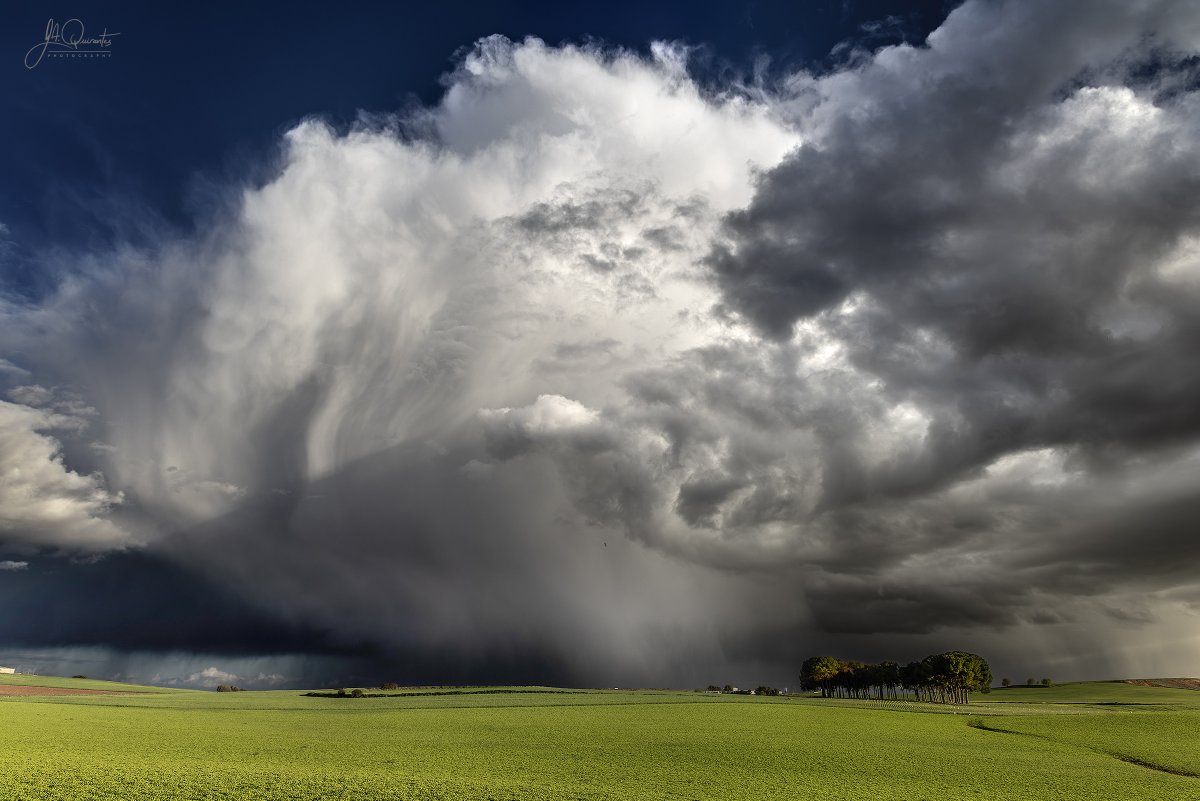 JoseAQuirantes's tweet photo. Santa Maria Del Campo Rus y su entorno no defrauda nunca fotográficamente hablando. Con los campos verdes en su máximo esplendor y con una tarde radiante de sol acompañada de chubascos primaverales, muy mal había que hacerlo para no sacar unas fotografías decentes. 19-abril-2025. https://t.co/XobRtCNb8M