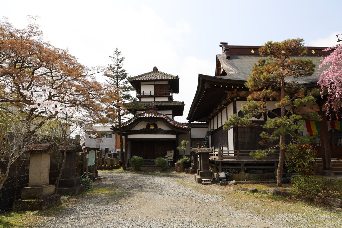tetu1130tetu's tweet image. 阿弥陀寺は桜満開でした。藤田家墓石にも墓参。