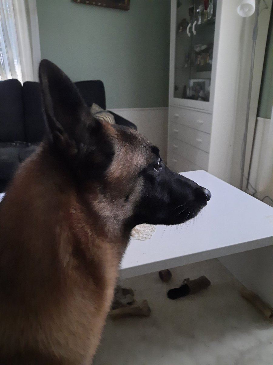 Sari Tikkaoja tweet media