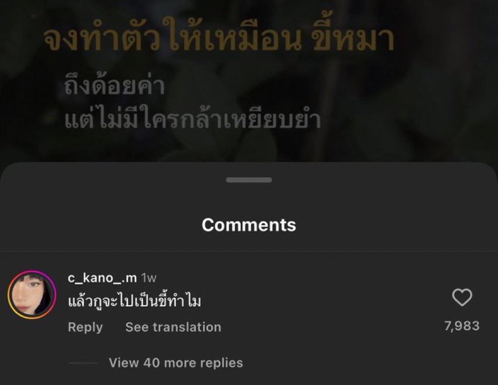 แมง. tweet media