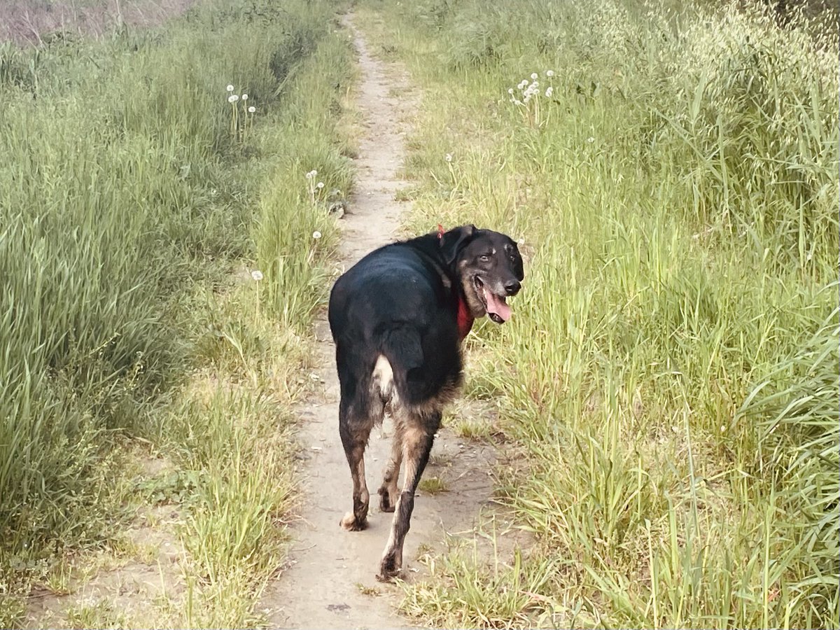 Dr Jennifer Allsopp tweet media