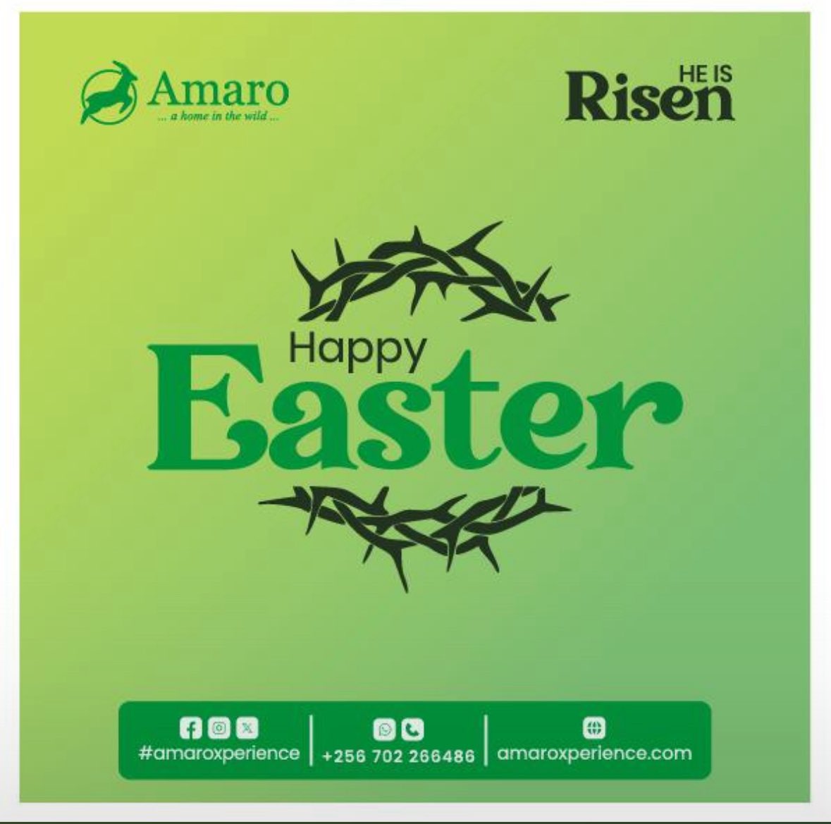 Happy Easter Holidays…
Make Good Memories 🎉🎉🎉