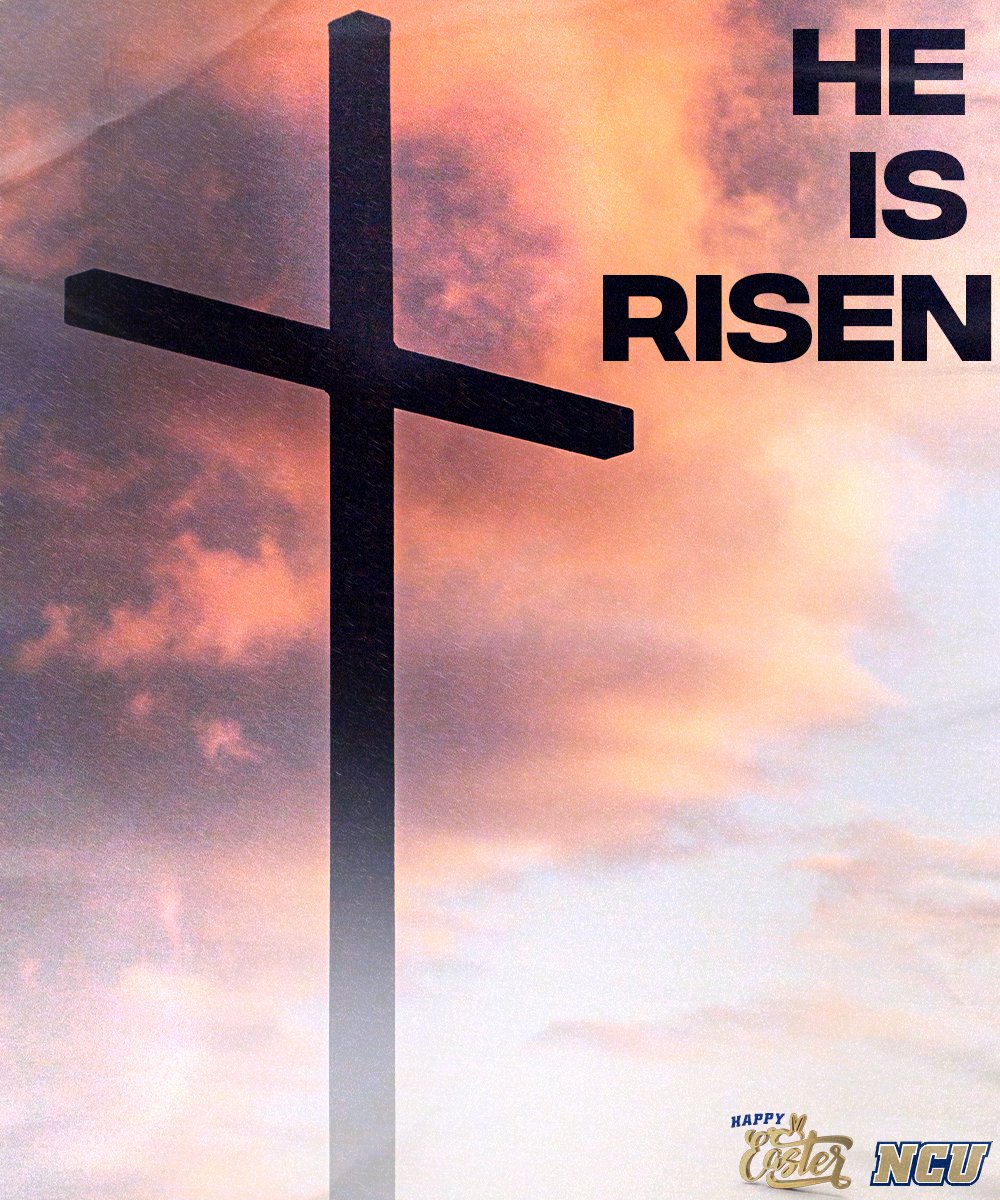 He is Risen Indeed ✝️
#GRATITUDE