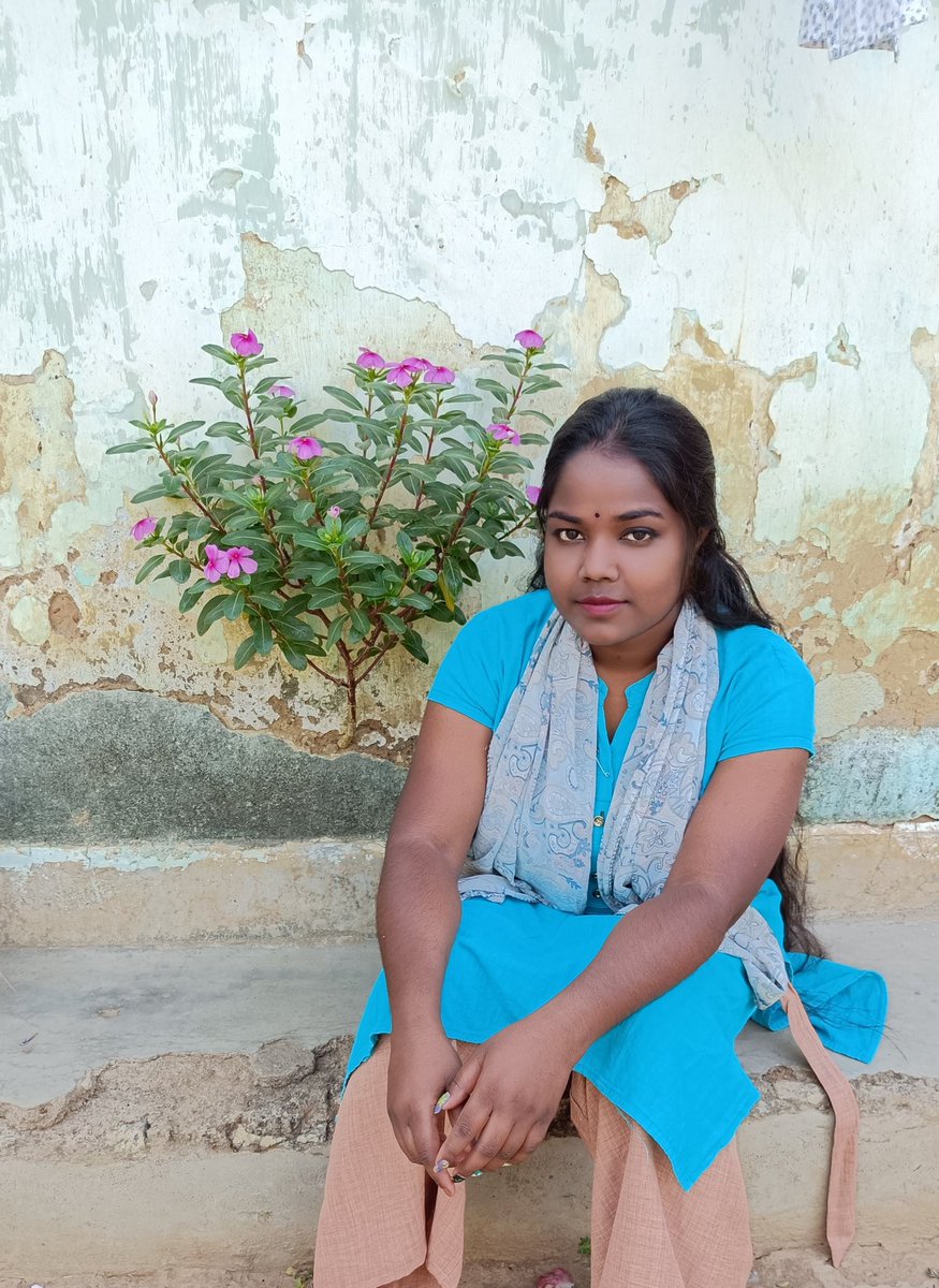 आख़िर नाम सदाबहार क्यों है? ☺️🪻

जोहार 🙏।