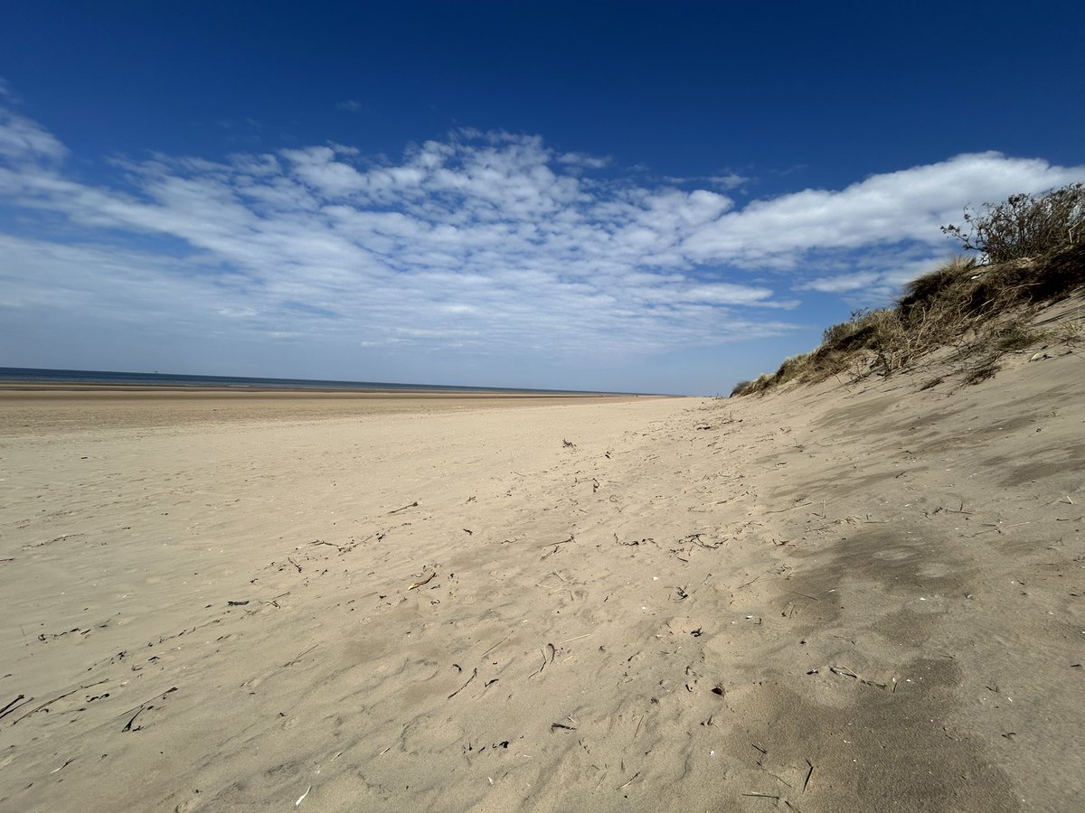 jaodhanm's tweet photo. Beautiful day #formbybeach https://t.co/WW3ykhbIM1