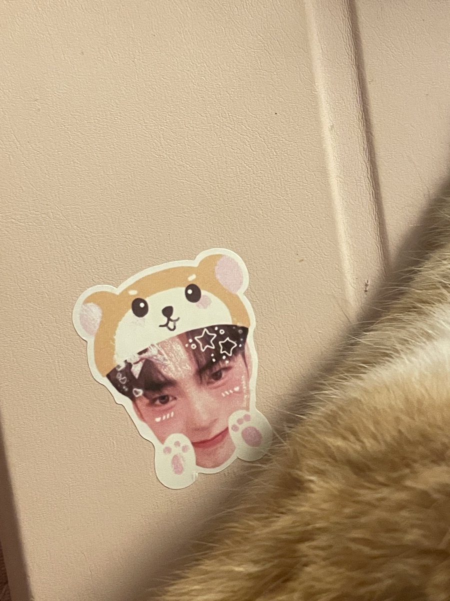 xforjor's tweet photo. bro can't stop licking him 😭😭😭😭😭😭 save my hambinnie https://t.co/BmNRd0CLg3