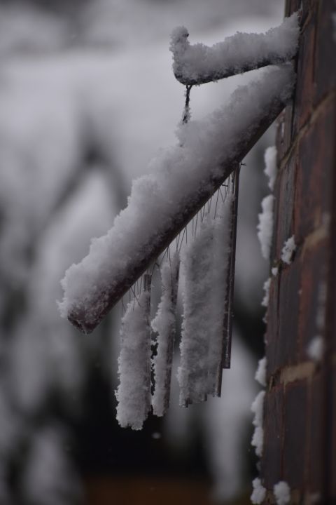 Art of the Day: "Snow covered wind chimes". Buy at: ArtPal.com/paul9?i=253592…