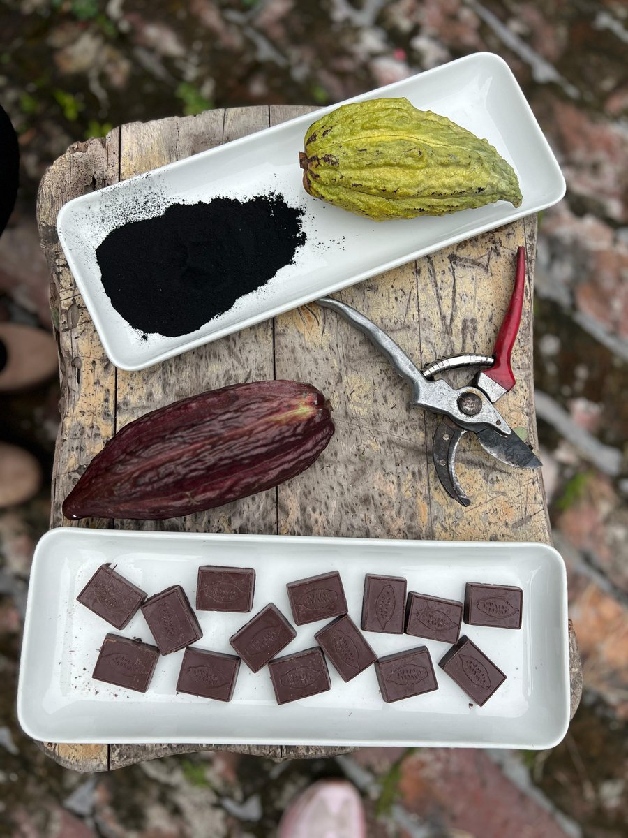 DavidAlvaradoMu's tweet photo. La Cúcuta Emergente 2025!  

"Somos el origen del mejor cacao del mundo" Erika Sánchez de Somos Cacao. 

#YoCreoEnCúcuta #Cacao 

https://t.co/qCD6uHgNsM https://t.co/AAdjxe2rDa