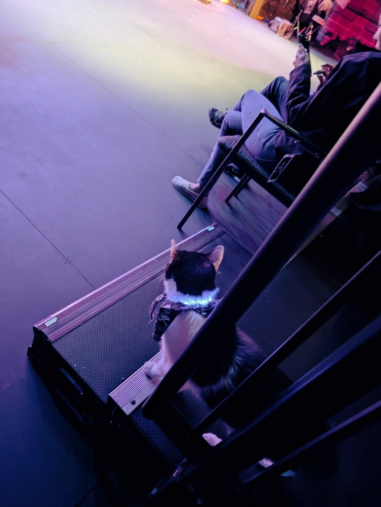 NBD WATCHING THE SHOW MOL

#JAXACROCAT #ACROCATS