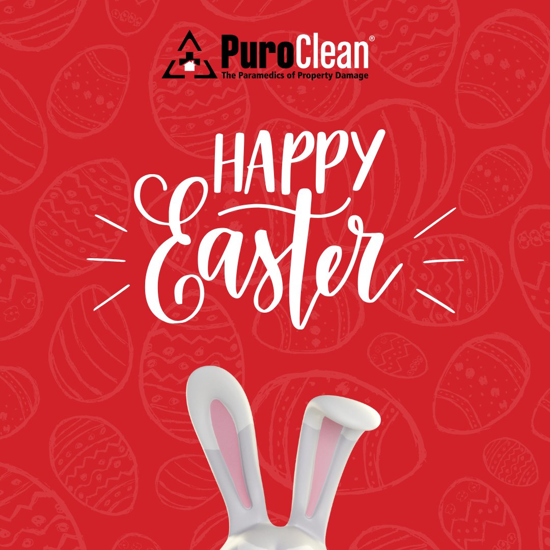 PuroCleanHTX's tweet photo. We restore homes — but sorry, we can’t fix your kids’ candy sugar rush! 🐰💥
Wishing you a joyful (and damage-free) Easter from all of us at PuroClean! 💛
#HappyEaster #BunnyBusiness #PuroCleanEaster #TheParamedicsOfPropertyDamage https://t.co/uTGWaCBSnm