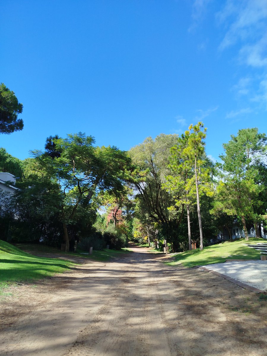 Caminata, bajo este cielo...