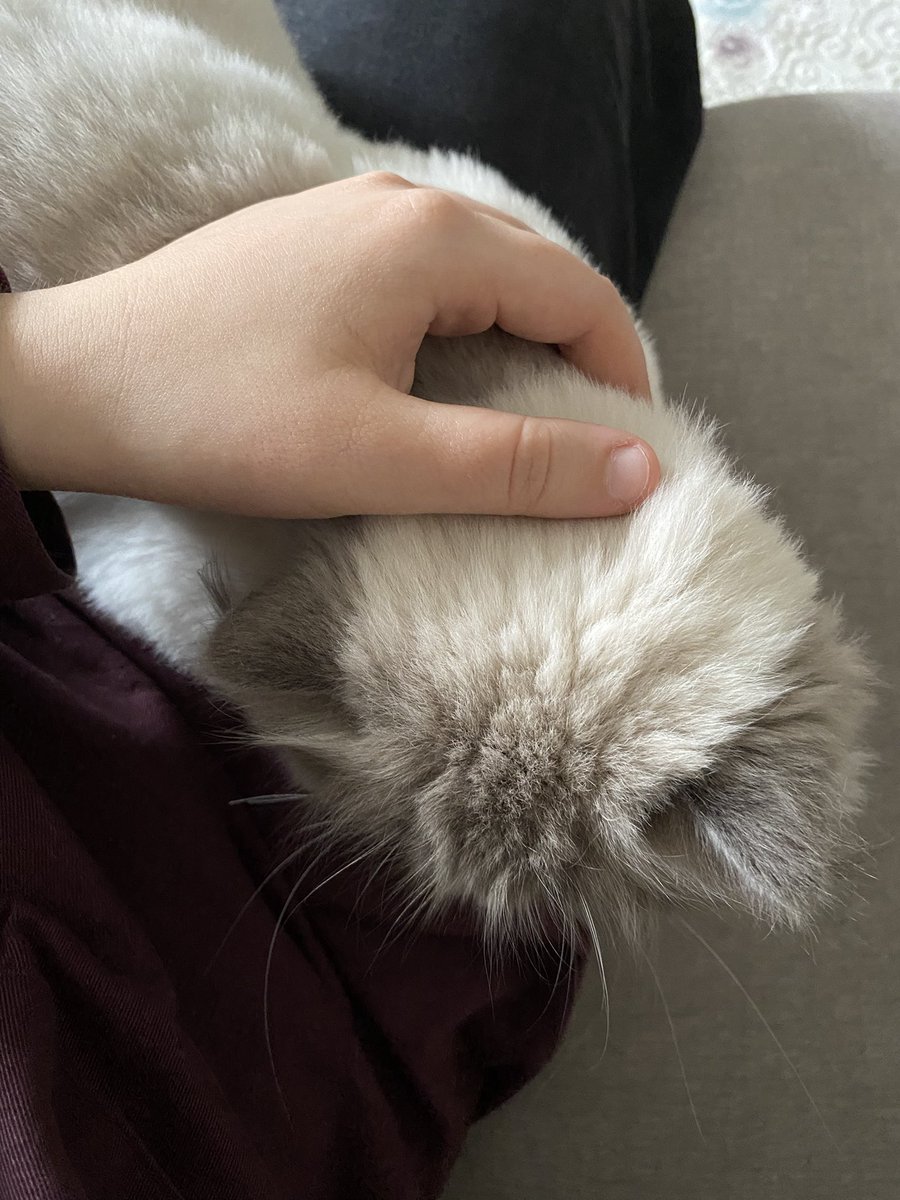 Çok seviyorum ki 🥹