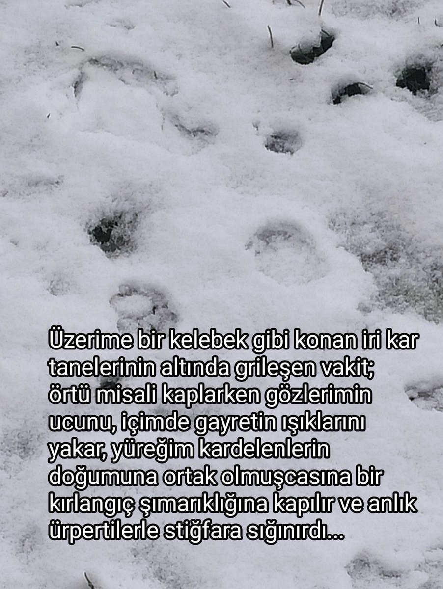 Tahsin Sağlam (@tahsinsaglam) on Twitter photo 