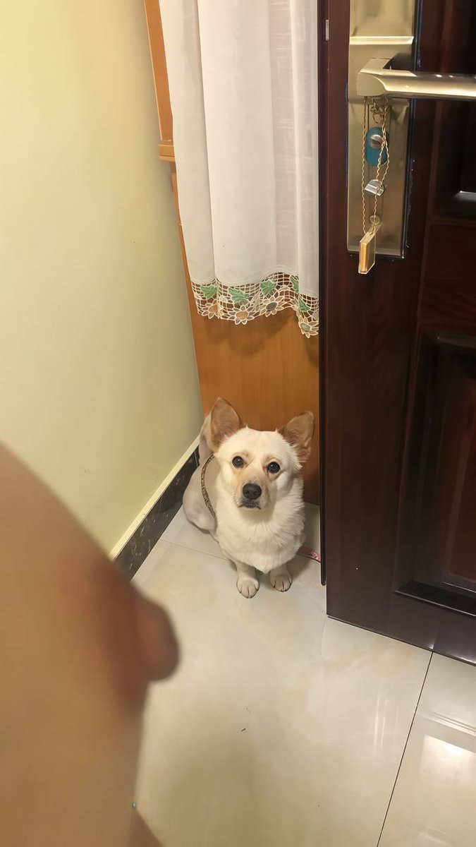 私信告诉我～你们是不是也这样盯着看...？ https://t.co/Eq4Kku2e6r