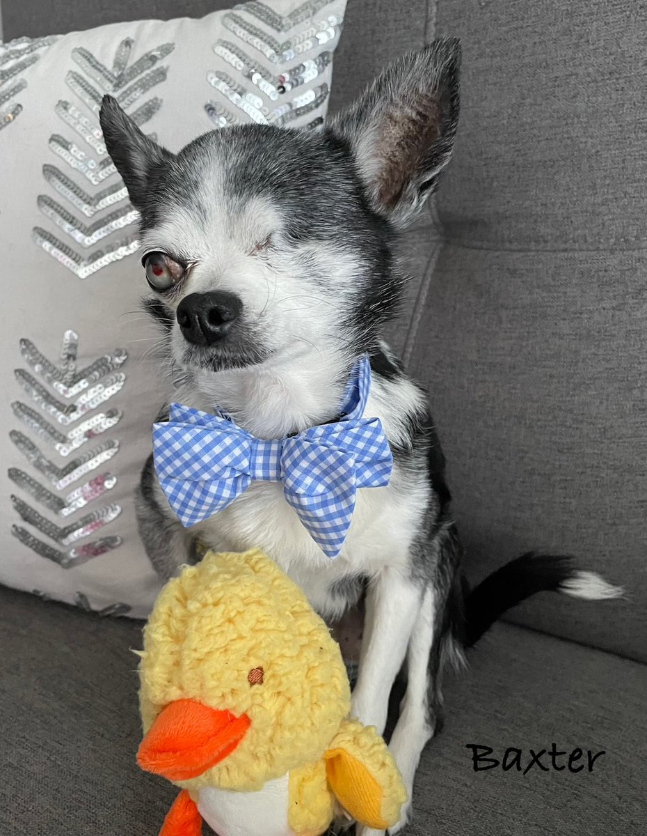 Happy Easter ✝️🐣