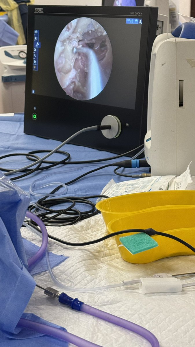 hawrayouseff's tweet photo. My first FESS dissection course ❤️😍 
It was a great experience  💞 https://t.co/AFSXrZVPSh