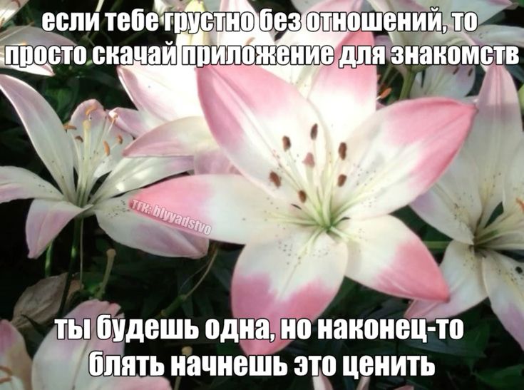 Nycho48's tweet photo. https://t.co/FTHJt5NNMb