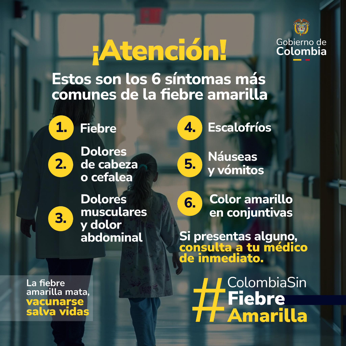 🥵La fiebre amarilla puede ser grave si no se detecta a tiempo.

Si tienes uno o más de estos síntomas, no lo ignores.

👉 Acude de inmediato a tu médico o al centro de salud más cercano.

👨‍⚕️ La atención oportuna puede salvar tu vida.

#ColombiaSinFiebreAmarilla