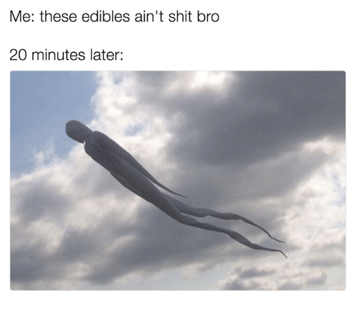 Top420org's tweet photo. Have  you ever tried any #edibles? 🤣 #WeedLovers #happy420 #memecoins  $Top420 $Trump420 $Sloth420 $WCake $Skywalker https://t.co/3HDskItXJv