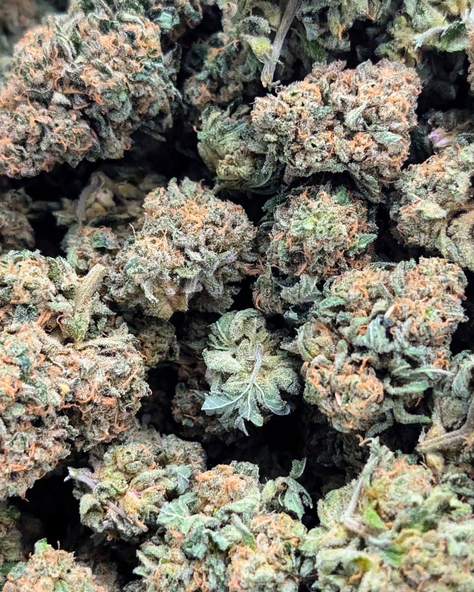 Holy City Farms tweet media