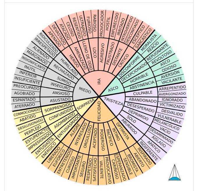 virginiog's tweet photo. La rueda de las emociones https://t.co/bruDObeK4R