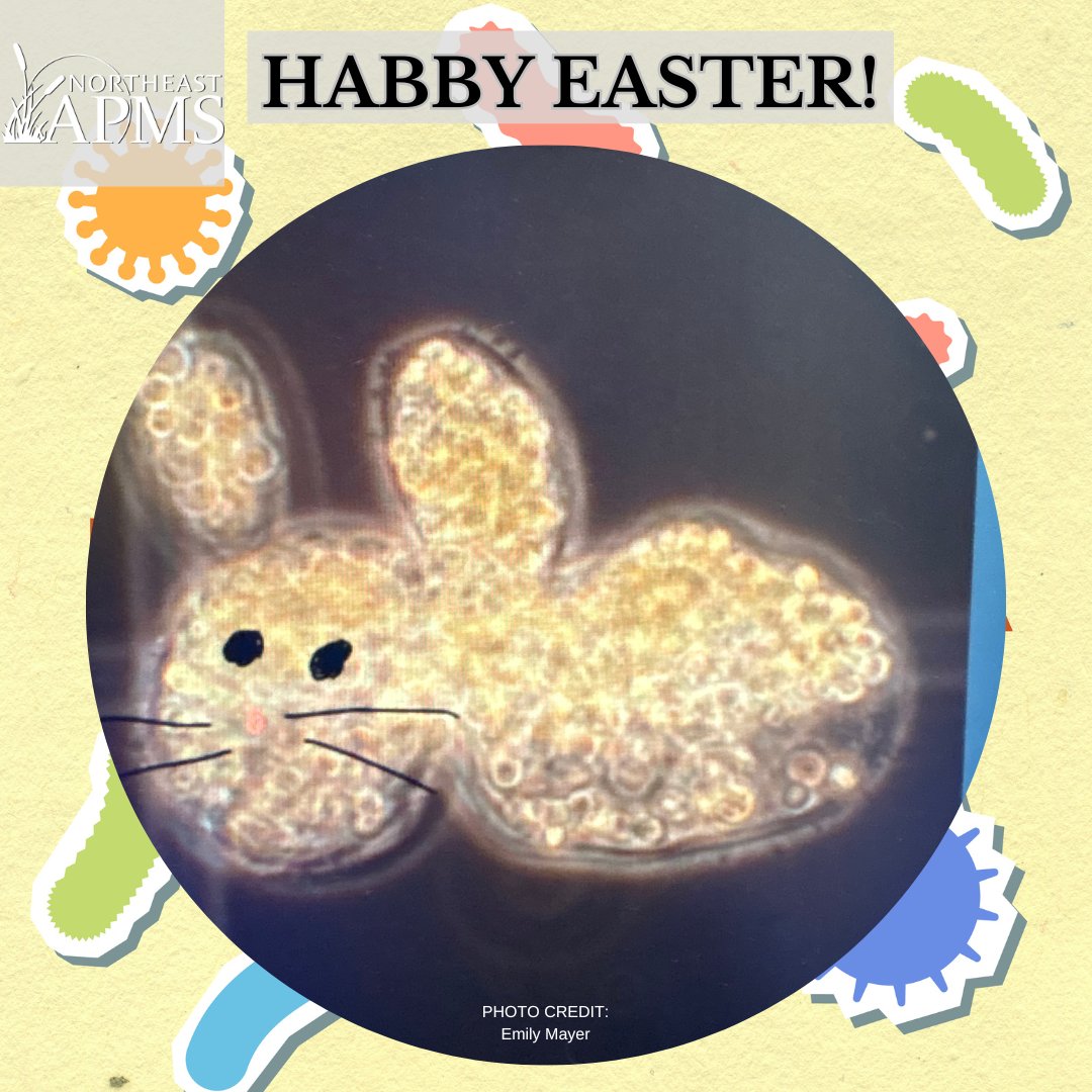 When your #harmful algal #bloom decides to hop into the cute zone... Meet #Microcystis - move over, Bunnicula, a new bunny is in town. Fluffy? Yes. Friendly? Absolutely not. - HABBY EASTER!
Stay tuned for our upcoming Spring Newsletter with ads from some of our amazing sponsors!