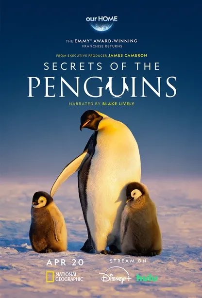 Promotional image for Secrets of the Penguins
