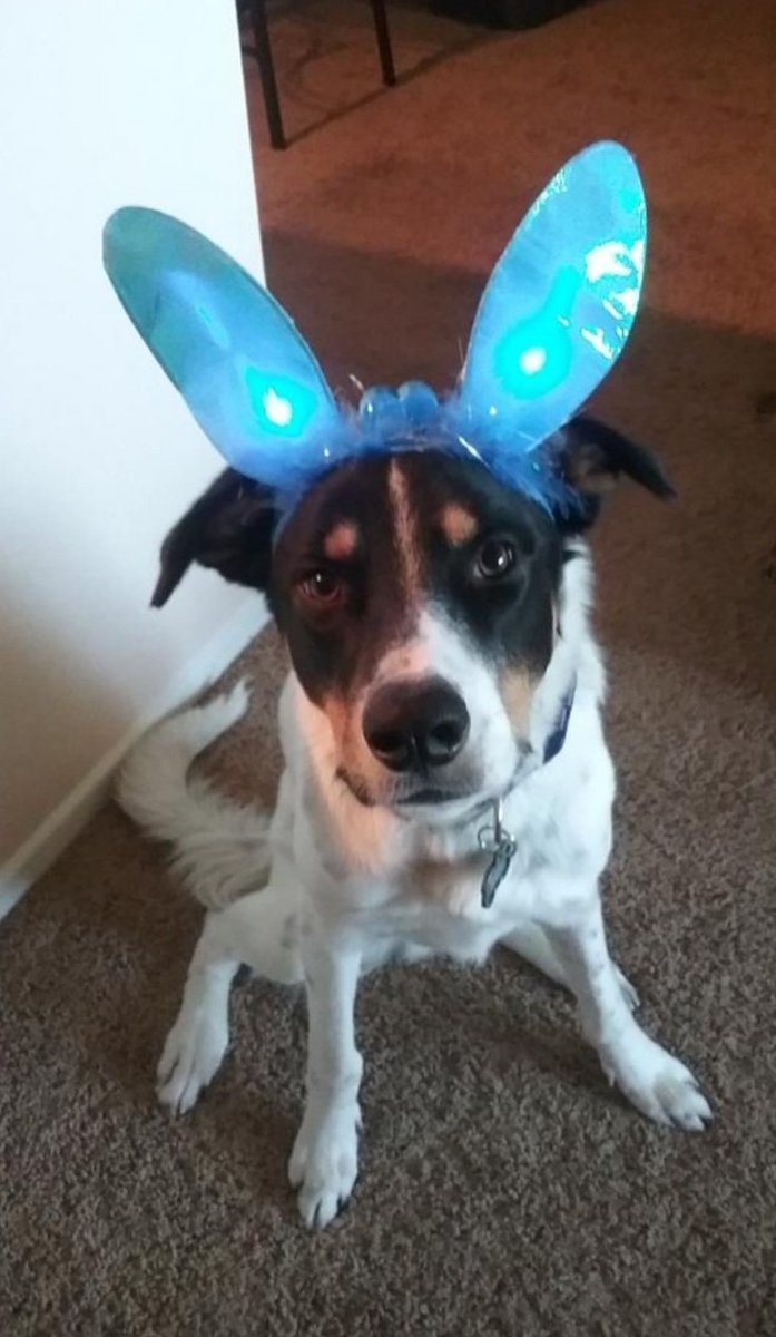 Happy Easter everyone!!  🐣 🐰  🩷💜🩵