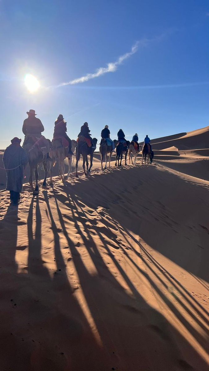 Ready for your next adventure?

Check our website travel-magical-morocco.com or contact us directly

#travelmagicalmorocco #itinerary #travelagency #tourguide #morocco #travelmorocco