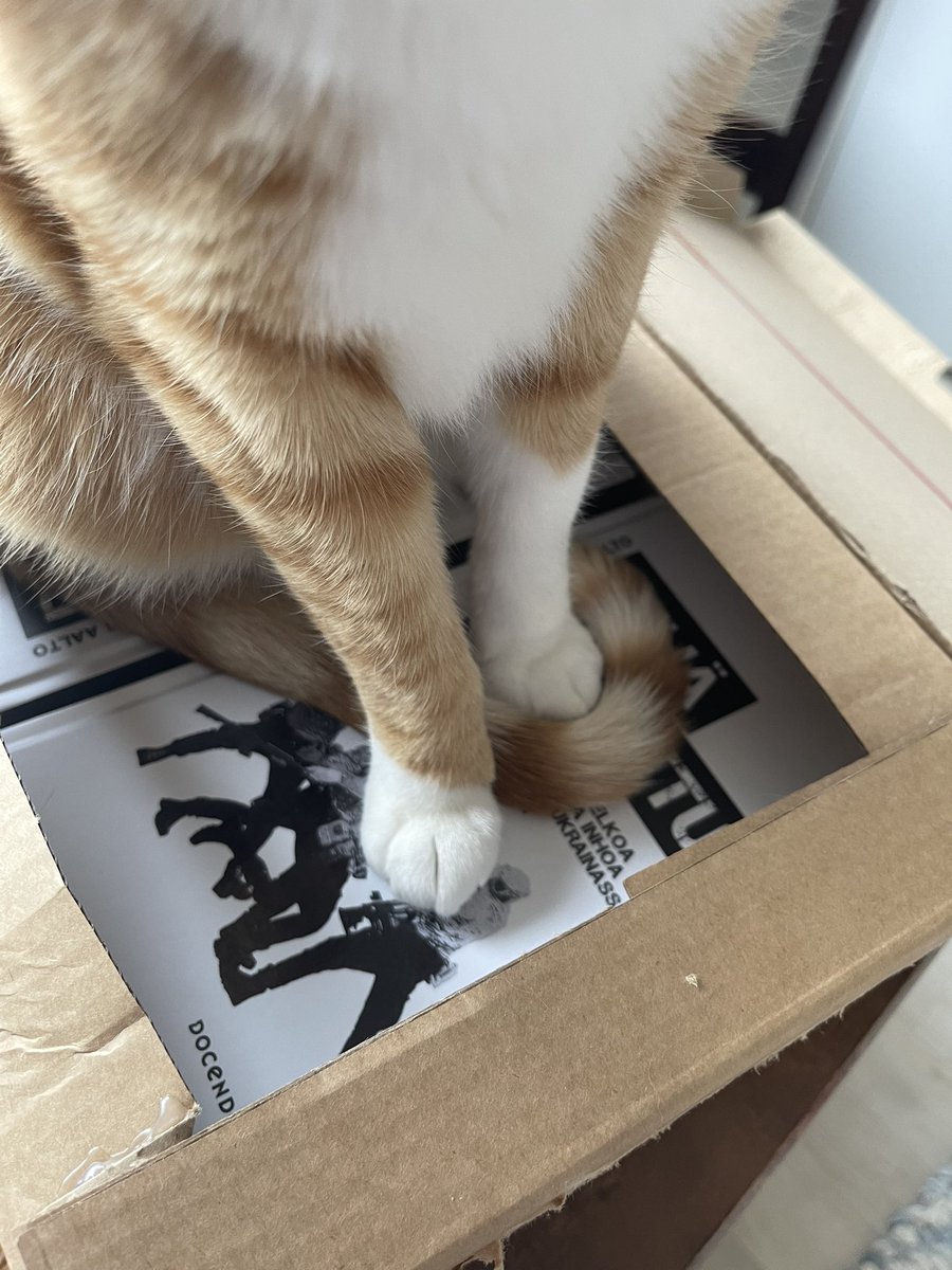 Vaikka aivan kaikki tässä kirjassa on suomenkielisessä sotakirjallisuudessa ihan uutta ja uniikkia, niin unboxing on kissataloudessa kyllä aina samaa tuttua kauraa.
