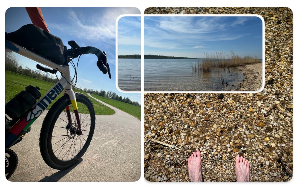 Sebastian tweet media