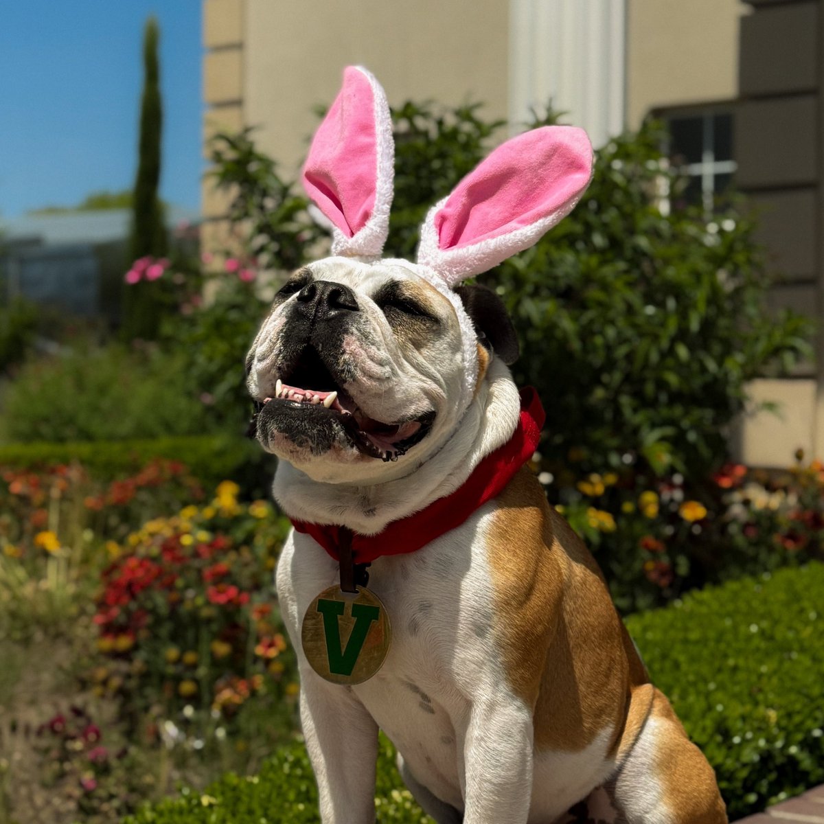 Hoppy Easter, my peeps! 🐰