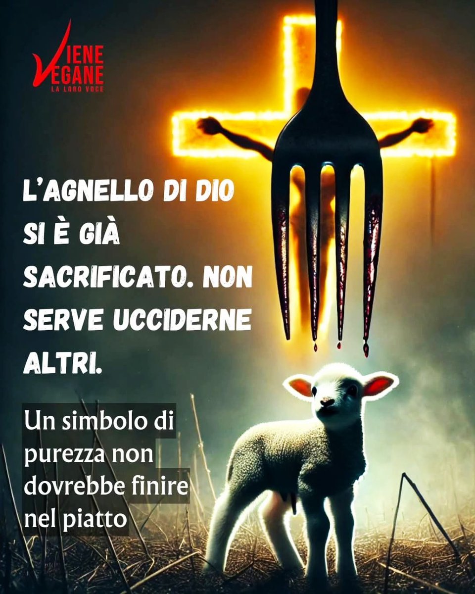 gianni_runco's tweet photo. La violenza si nutre di violenza. Go Vegan! #pasquavegana #govegan #AnimalRights #veganfood #veganism #veganlife #crueltyfree #Vegan #nomeat #vegano #plantbased #vegetables #animallovers #veganrevolution #veganworld #empatia #animalliberation #SaveTheLamb #nonviolence #peace ☮️ https://t.co/UQFuR4ADg5
