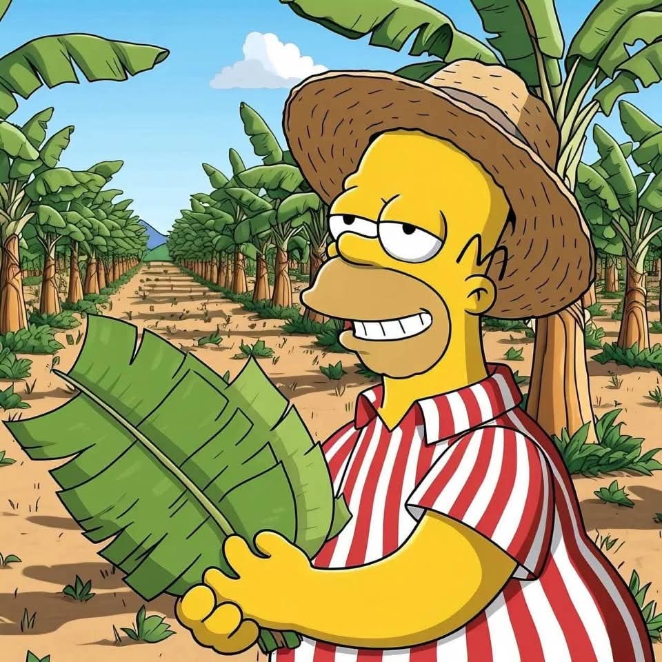simpsons_py's tweet photo. La semana santa paraguaya 🇵🇾

Aporte de un seguidor - Creditos a quien corresponda https://t.co/SkQ6ZH4EJZ