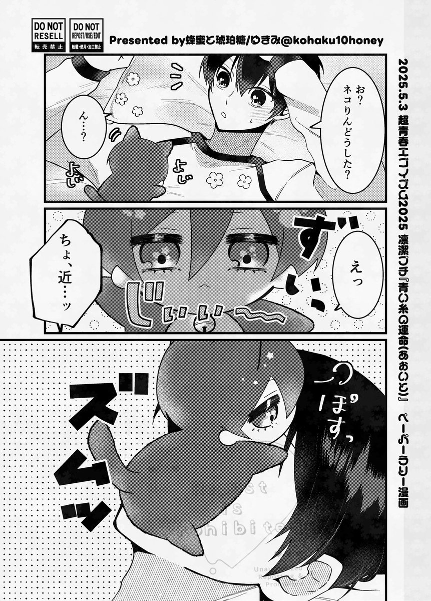 ペーパーラリーはアンケを参考に🐈⬛の未収録小話の折本作るのでそちらを対象にしようと思います
アンケの結果、もしかしたら騎士パロかな〜と素振りしてたら🐈⬛が圧倒的だったのでびっくりしました😂
スペースにお越しくださった方を対象にしようと思うので良かったらお立ち寄りください☺️
#あおいと