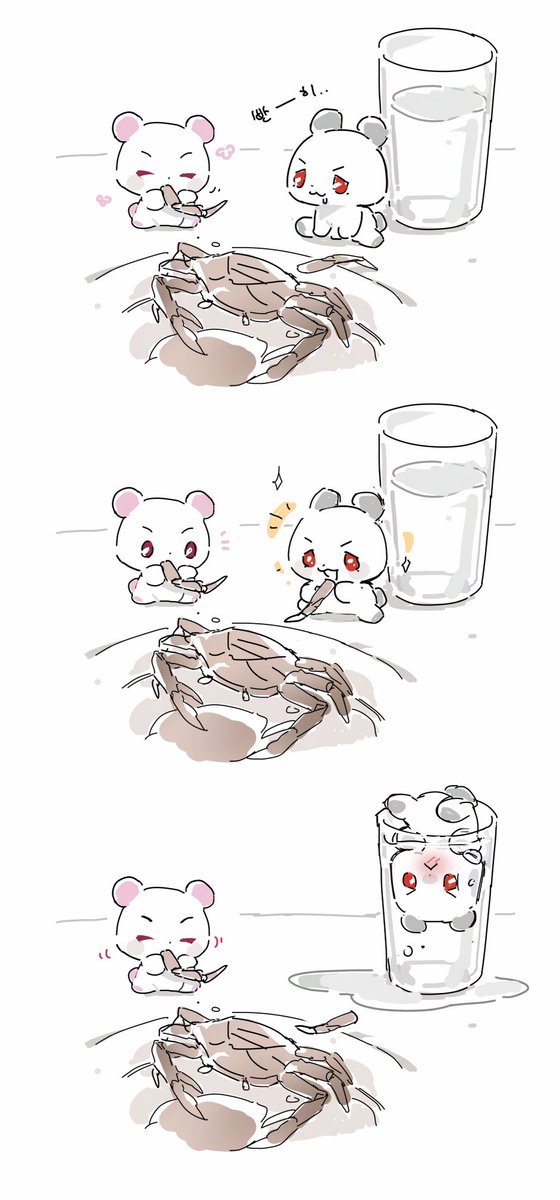 도시락 tweet media