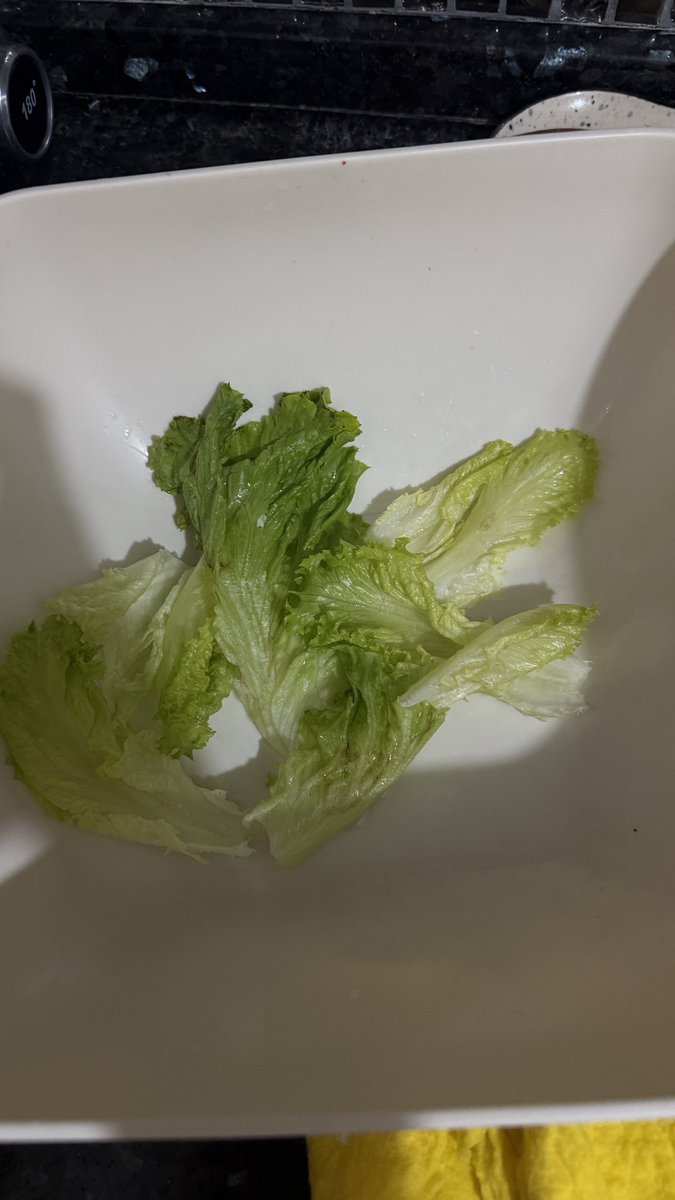 Acaba bu hangi yıldızlararası galaktik koruyucuların öğünü ?