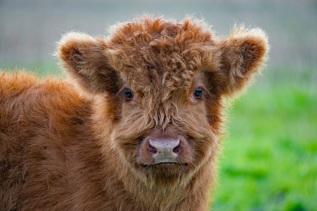 Schattig hè 🥰