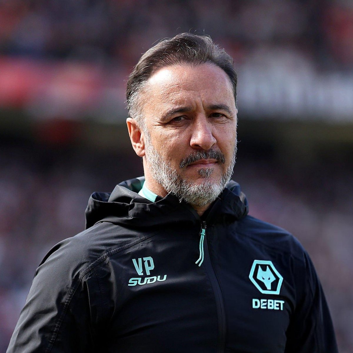 Footballtweet's tweet photo. 🚨 𝗢𝗙𝗙𝗜𝗖𝗜𝗔𝗟: Wolves are safe from Premier League relegation. 🐺

What a job Vitor Pereira has done. 🔥 https://t.co/UZj0sULvLU