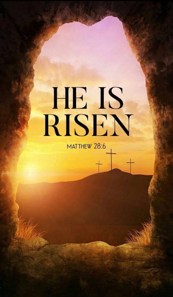 alicia daniel tweet media