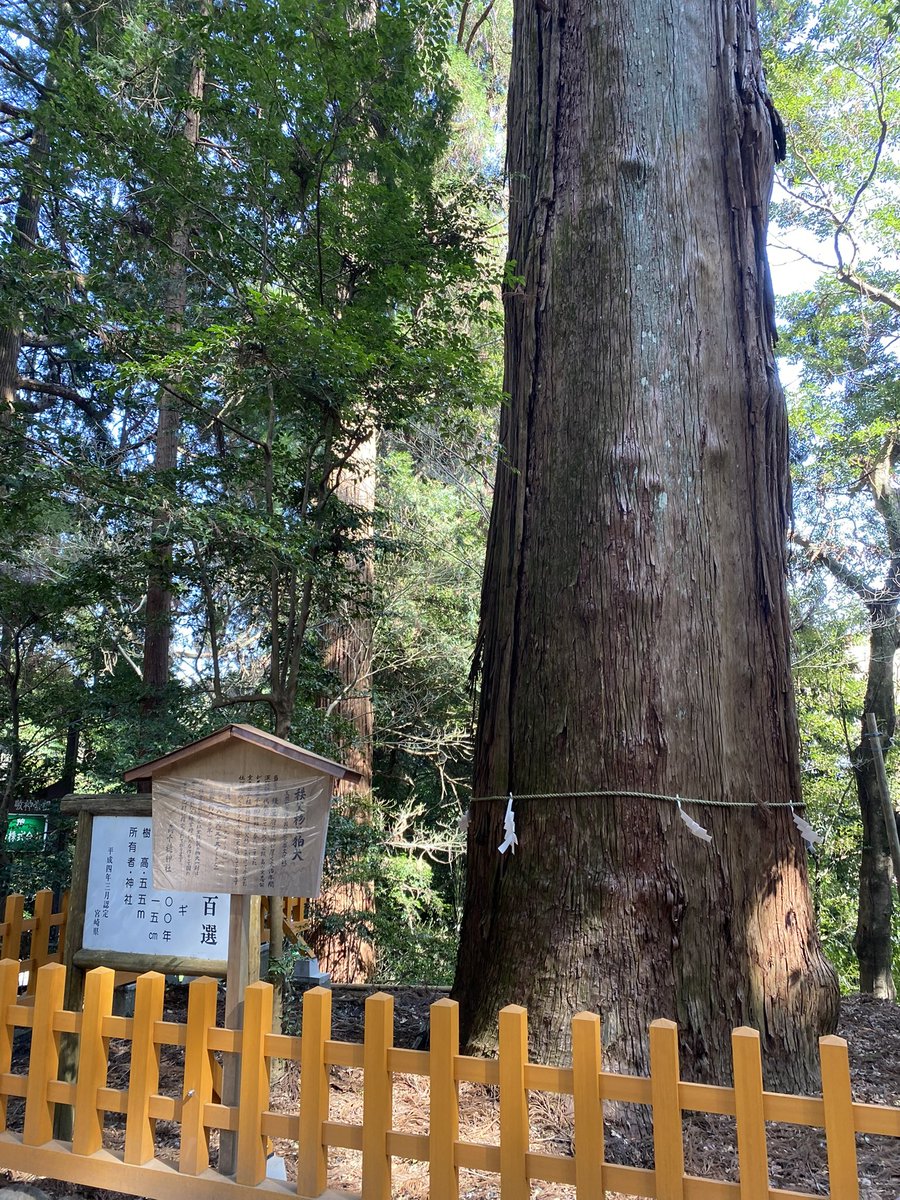hdekiyb's tweet photo. 宮崎 part4
パワースポット多めに行ったから運気上昇してることを願う🤗
日向夏のソフトクリーム🍦😋

#宮崎
#高千穂
#日向夏
#パワースポット
#天岩戸神社
#鵜戸神宮 https://t.co/5JECc8lLML